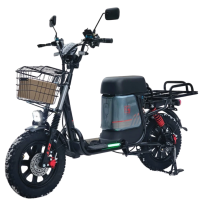 Электровелосипед GT Monster M2