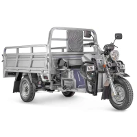 Грузовой электротрицикл Rutrike Эксперт ПРО 2000 Серый