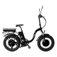 Электровелосипед Elbike Taiga 1 Twix 2000 черный